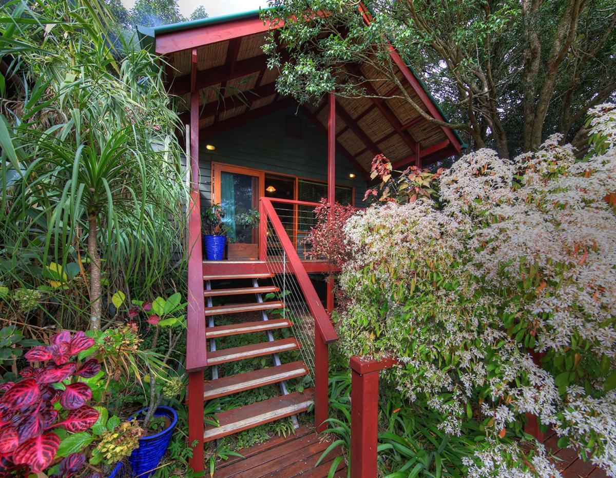 Bed and Breakfast Maleny Tropical Retreat Exteriér fotografie