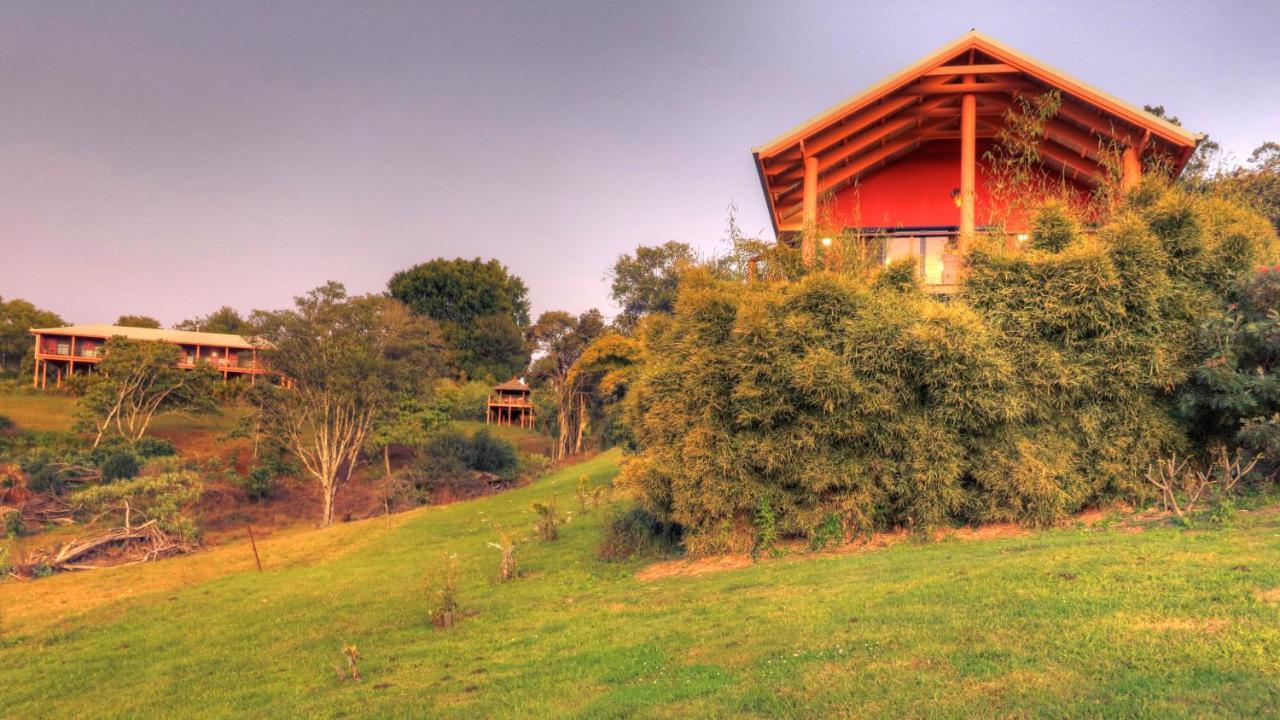 Bed and Breakfast Maleny Tropical Retreat Exteriér fotografie