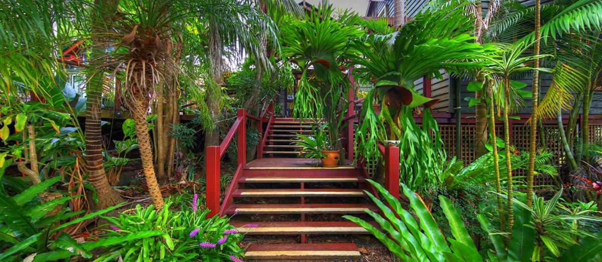 Bed and Breakfast Maleny Tropical Retreat Exteriér fotografie